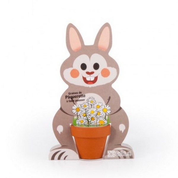 Kit de plantation lapin Pâques - Made in France