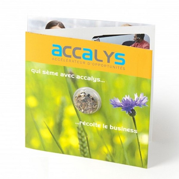 Carte à graines bio en capsule - Made in France - 1