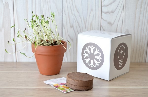 Le Cube de plantation en terre cuite 10x10x10cm - 3