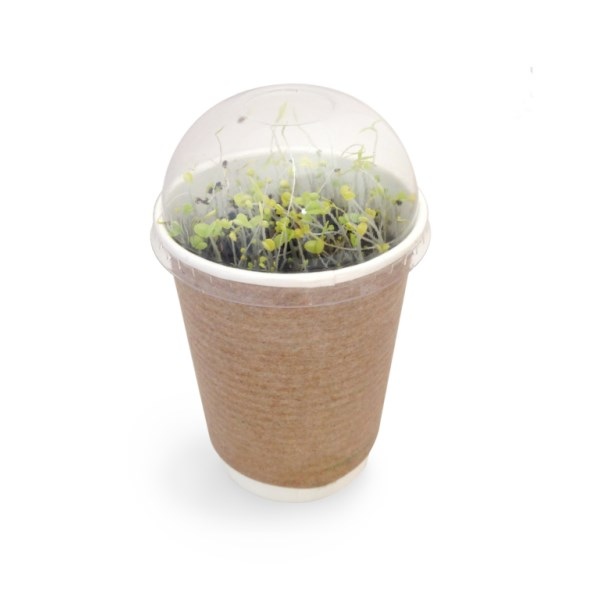 Smoothie à graines en bioplastique compostable -