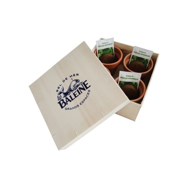 Coffret aromatique en bois - Kit de plantation