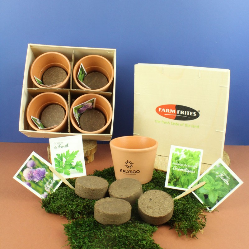 Coffret aromatique en bois - Kit de plantation - 2