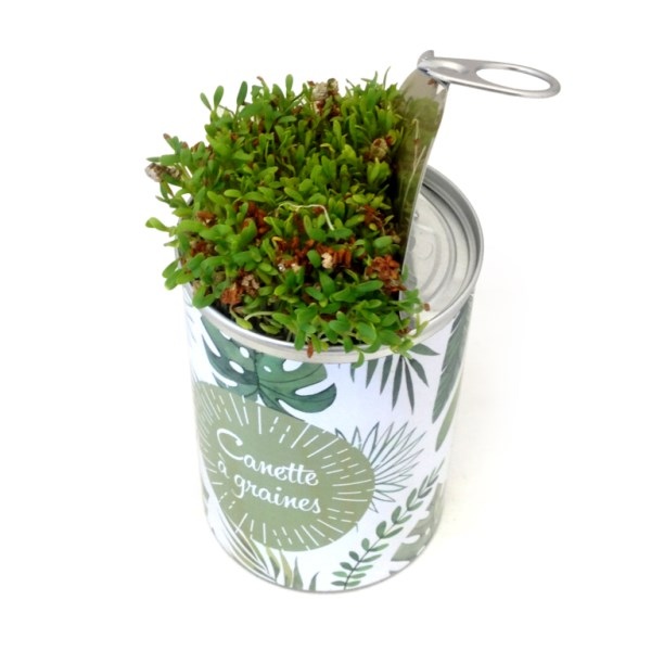 Canette à graines - personnalisation intégrale -