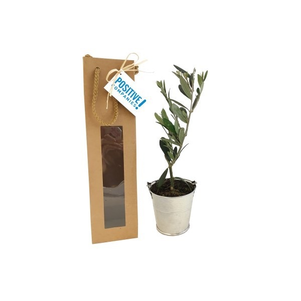 Plant arbre en sac kraft avec fenêtre Prestige