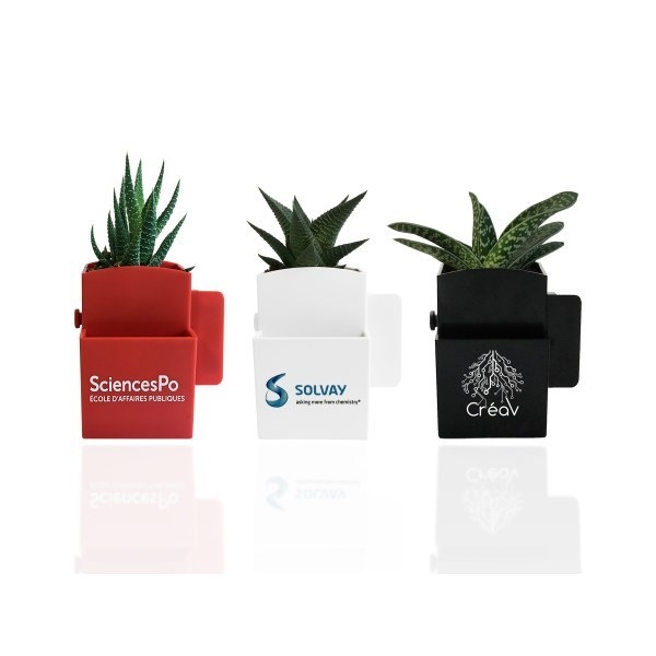 Vegetal Box - plante dépolluante et plastique recyclé