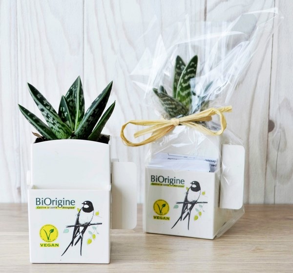 Vegetal Box - plante dépolluante et plastique recyclé -