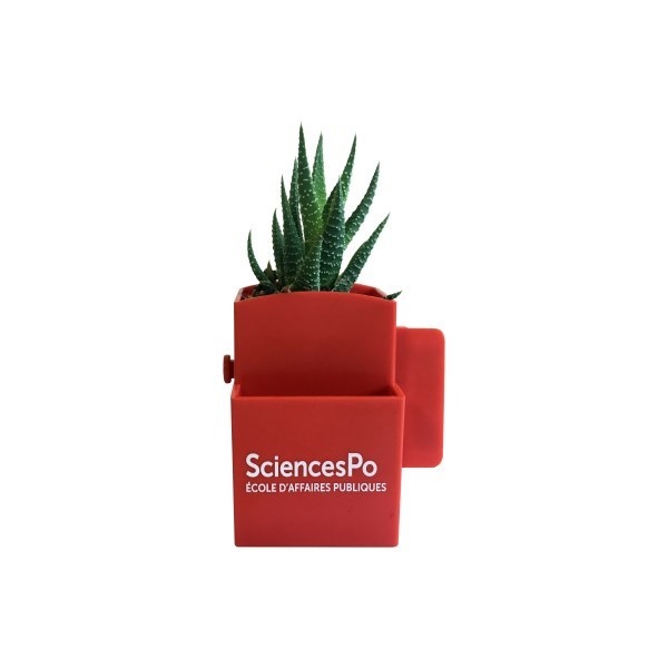 Vegetal Box - plante dépolluante et plastique recyclé -