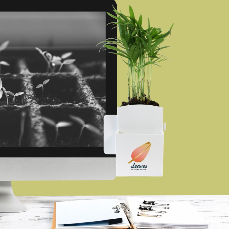 Vegetal Box - plante dépolluante et plastique recyclé - 2