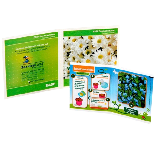 Duo de sachet de graines bio - Made in France