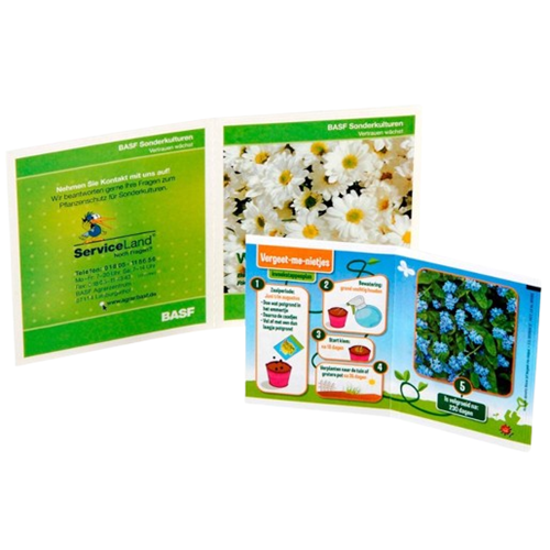 Duo de sachet de graines bio - Made in France