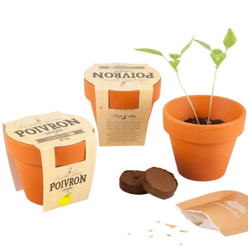 Kit de plantation bio 65 mm - Made in France