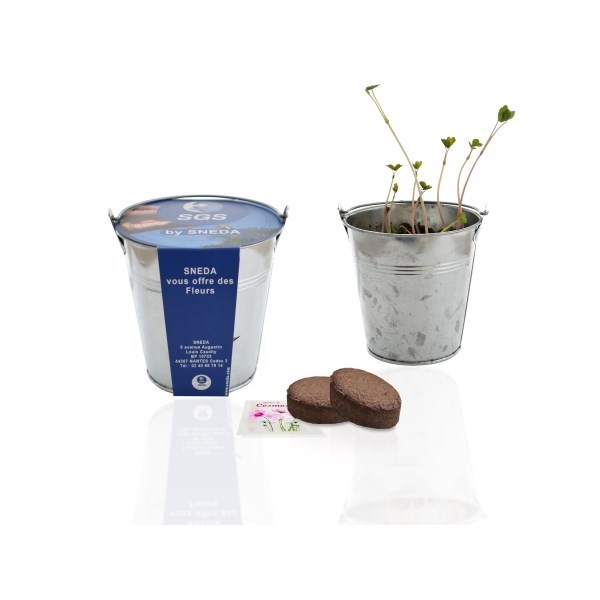 Kit de plantation pot Zinc 10 cm de diamètre