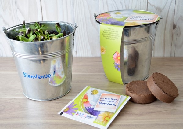 Kit de plantation pot Zinc 13 cm de diamètre - 1