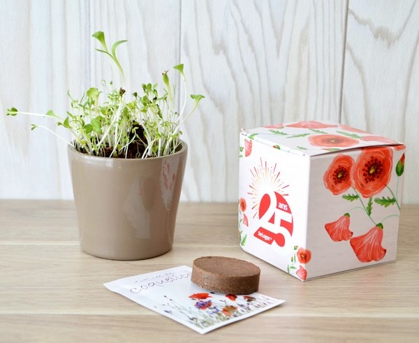 Le Cube de plantation en terre cuite 7x7x7cm - 1