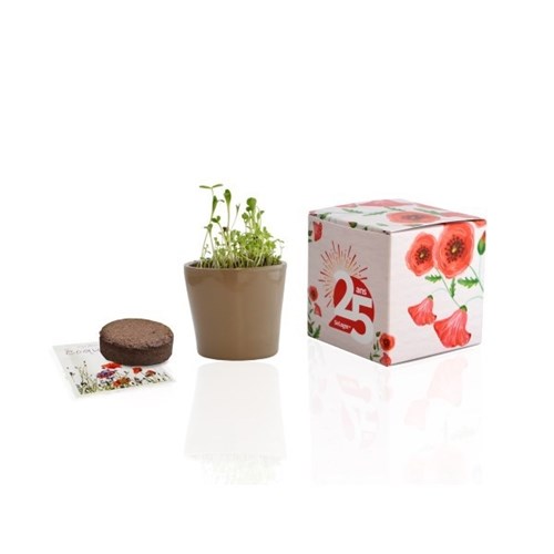 Le Cube de plantation en terre cuite 7x7x7cm