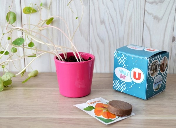 Le Cube de plantation en terre cuite 7x7x7cm - 4