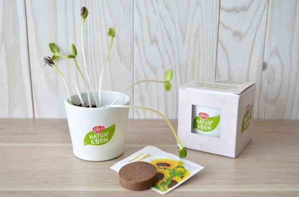 Le Cube de plantation en terre cuite 7x7x7cm - 7