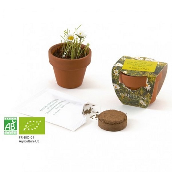 Kit de plantation bio 45mm - Made in France -