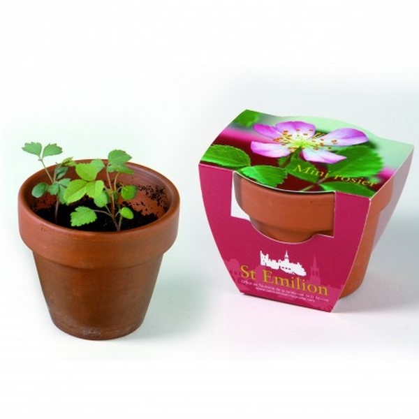 Kit de plantation 55mm bio - Made in France -