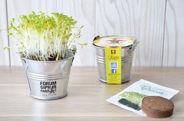 Kit de plantation pot Zinc 7 cm de diamètre - 3