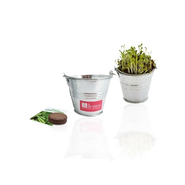 Kit de plantation pot Zinc 7 cm de diamètre - 1