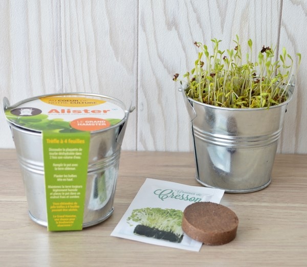 Kit de plantation pot Zinc 8 cm de diamètre -