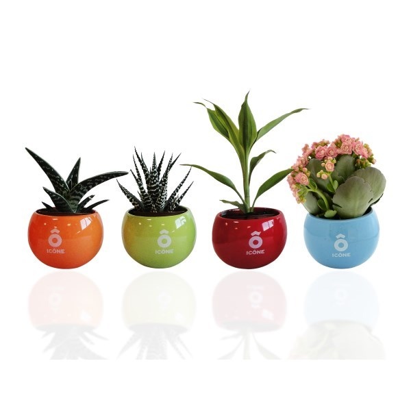 Plante dépolluante en pot aimanté céramique