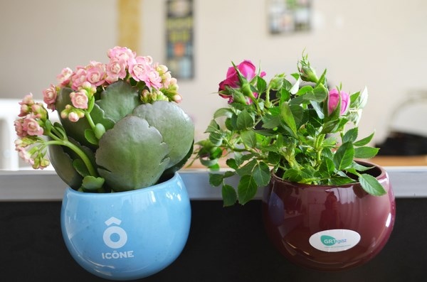 Plante dépolluante en pot aimanté céramique -