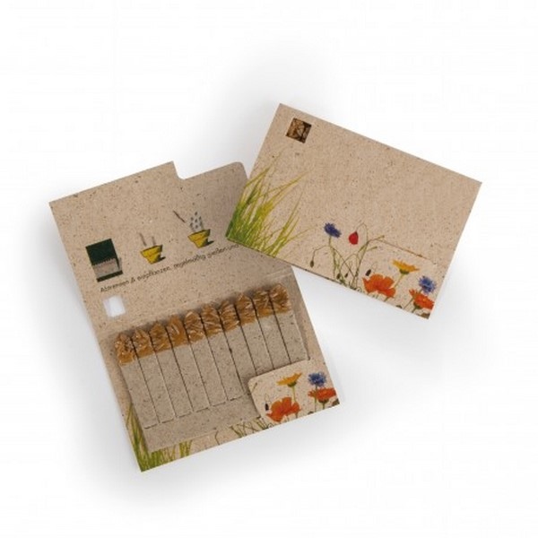 Carte recyclée 10 allumettes avec graines