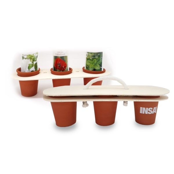 Kit de plantation terre cuite - Trio Bois