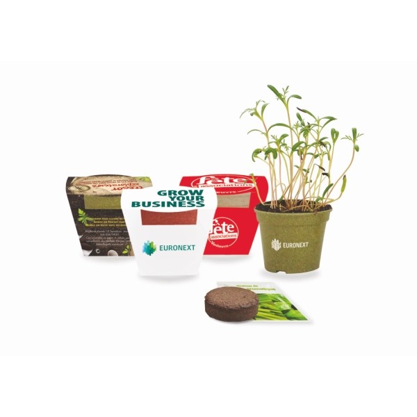 Kit de plantation avec pot en paille de riz à planter