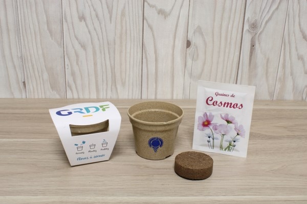 Kit de plantation avec pot en paille de riz à planter -