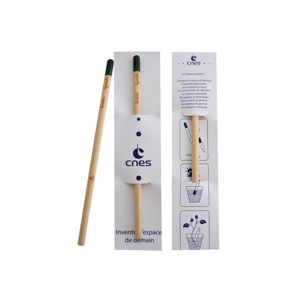 Crayon Sprout personnalisé à graines, capsule à planter - 7