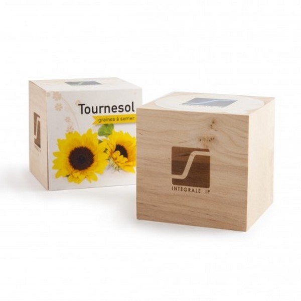 Cube Kit de plantation - Made in France