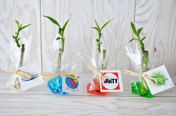 Canne chinoise avec emballage fleuriste -