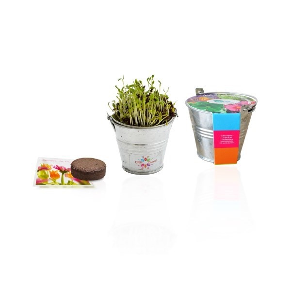Kit de plantation pot en zinc standard