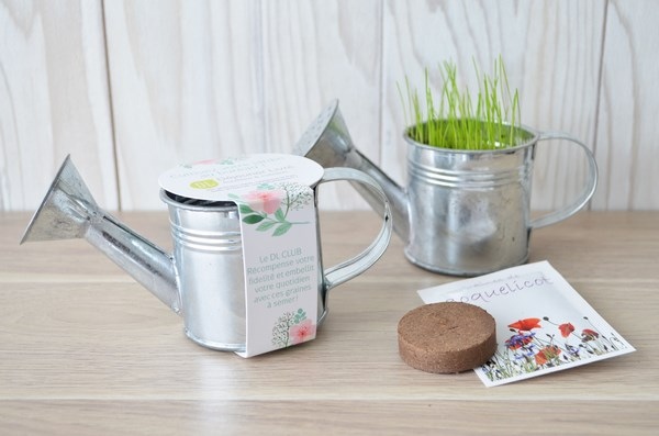 L'arrosoir décoratif à graines en zinc -