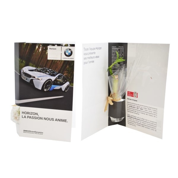 Carte plant d'arbre en papier recyclé. -