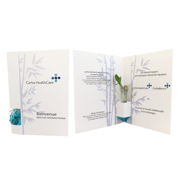 Carte plant d'arbre en papier recyclé. -