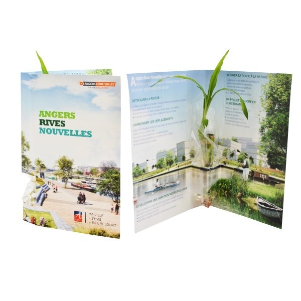 Carte plant d'arbre en papier recyclé.