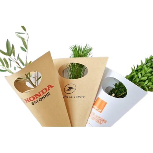 Plant d'arbre en cornet kraft Feuillus