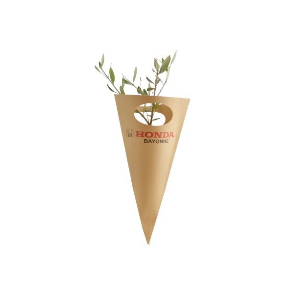 Plant d'arbre en cornet kraft Prestige -