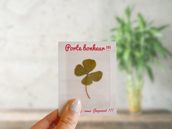 Carte Trèfle 4 feuilles porte-bonheur - 1
