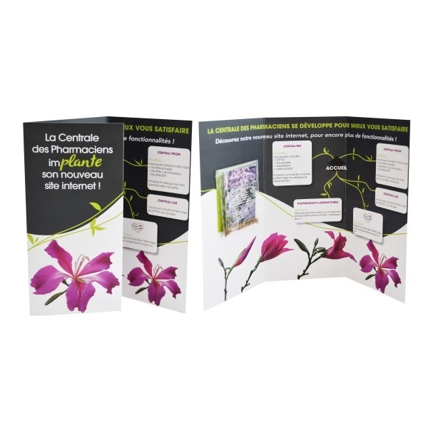 Carte 3 volets avec sachet de graines -