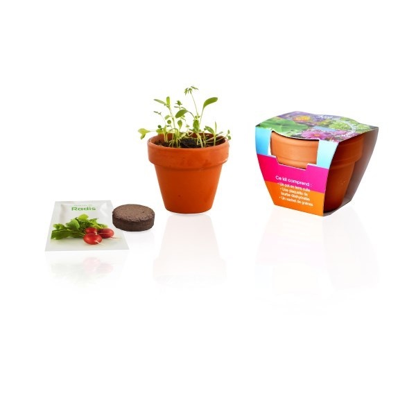 Kit de plantation Pot en terre cuite