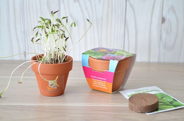 Kit de plantation Pot en terre cuite -
