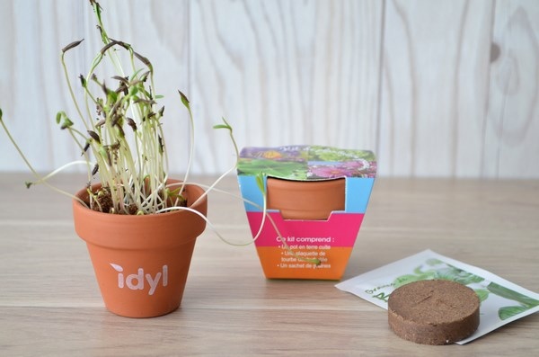 Kit de plantation Pot en terre cuite -