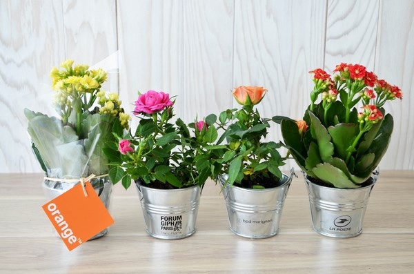 Mini plante fleurie en pot zinc 6 cm -