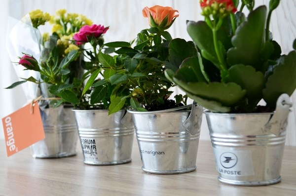 Mini plante fleurie en pot zinc 6 cm -