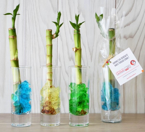 Canne chinoise individuelle en vase -